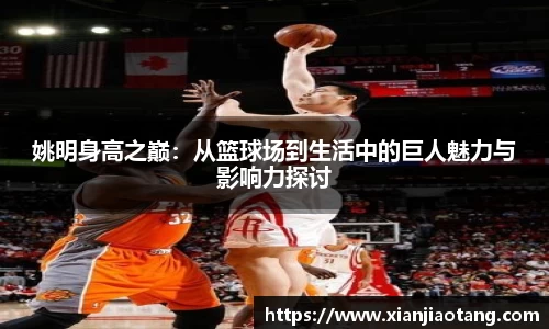 星空·综合体育官方网站