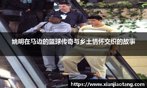 星空·综合体育中国官网