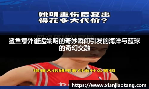 鲨鱼意外邂逅姚明的奇妙瞬间引发的海洋与篮球的奇幻交融