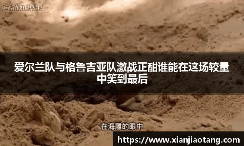 爱尔兰队与格鲁吉亚队激战正酣谁能在这场较量中笑到最后