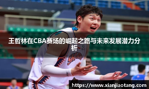 王哲林在CBA赛场的崛起之路与未来发展潜力分析